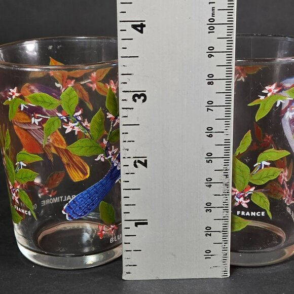 Set (2) Bird Juice Glass Small Tumbler Arcoroc France Blue Jay Baltimore Oriole - Picture 9 of 11